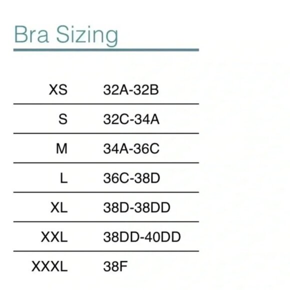 Zyia All Star Bra - Picture 5 of 5